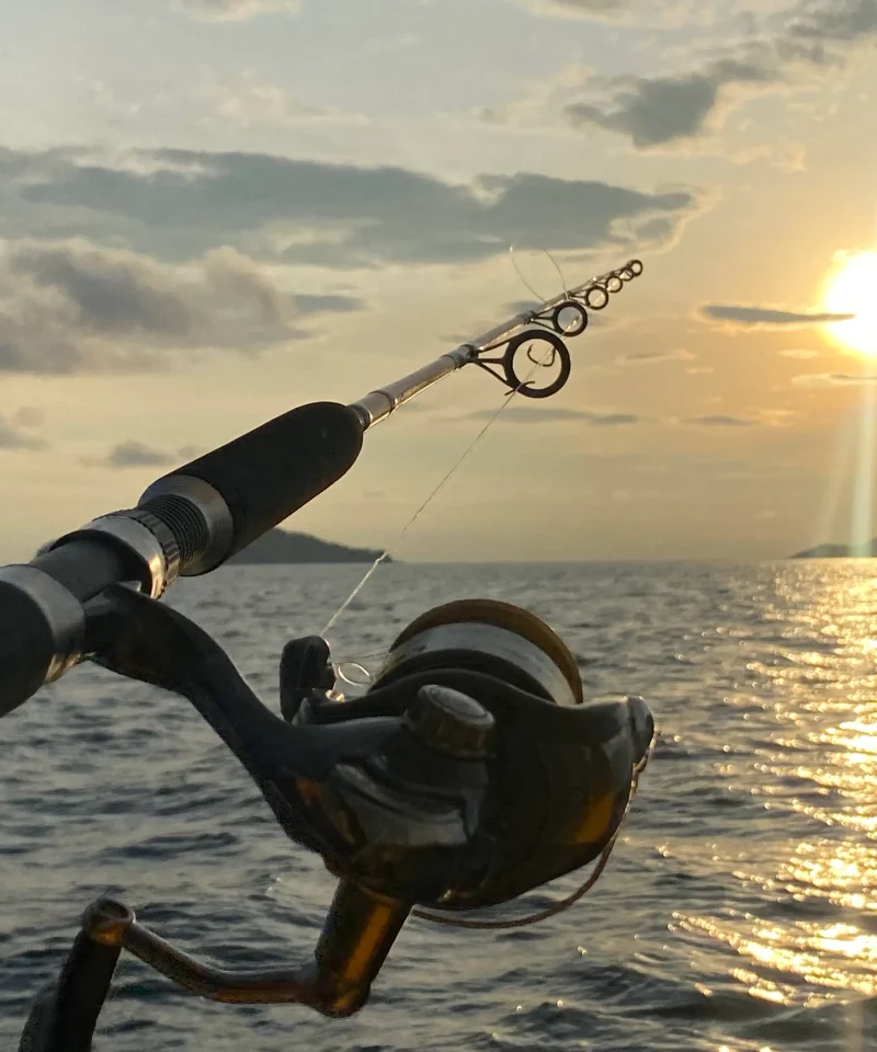 Tour câu cá lớn Phú Quốc