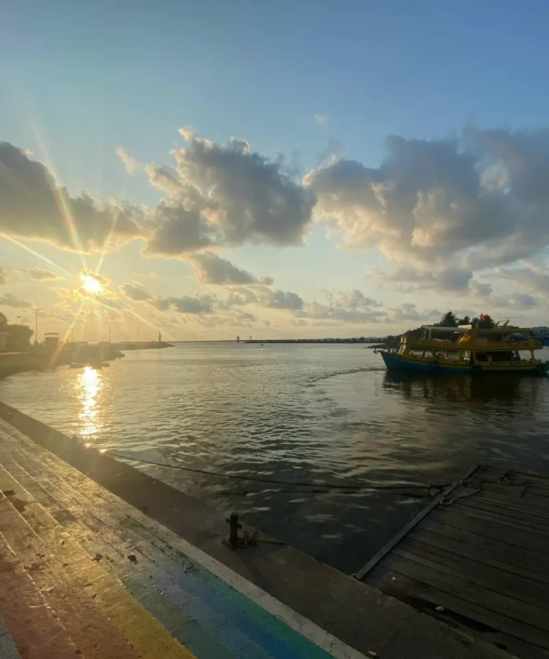 Tour ngắm hoàng hôn câu mực đêm