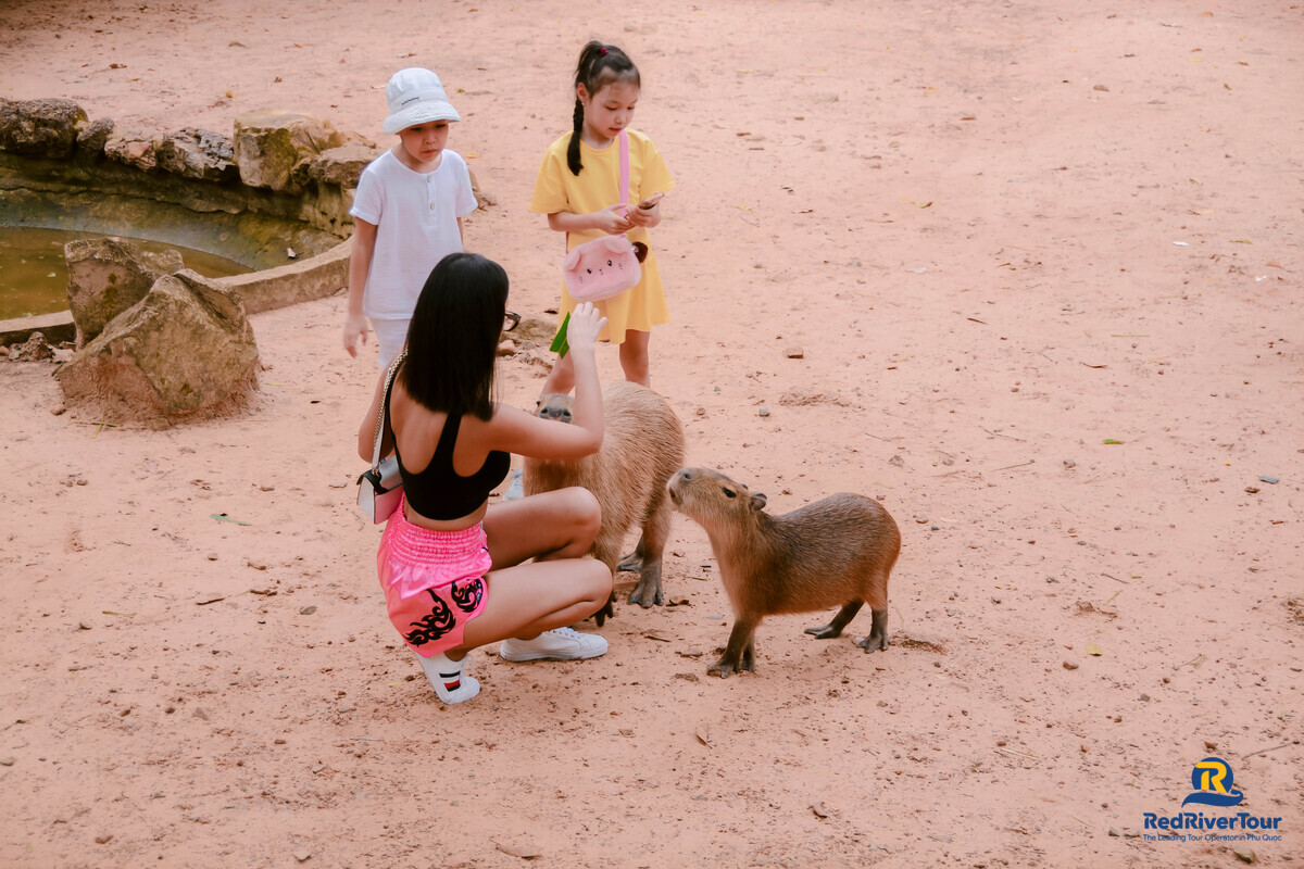 Đặt vé VinWonders và Safari Phú Quốc