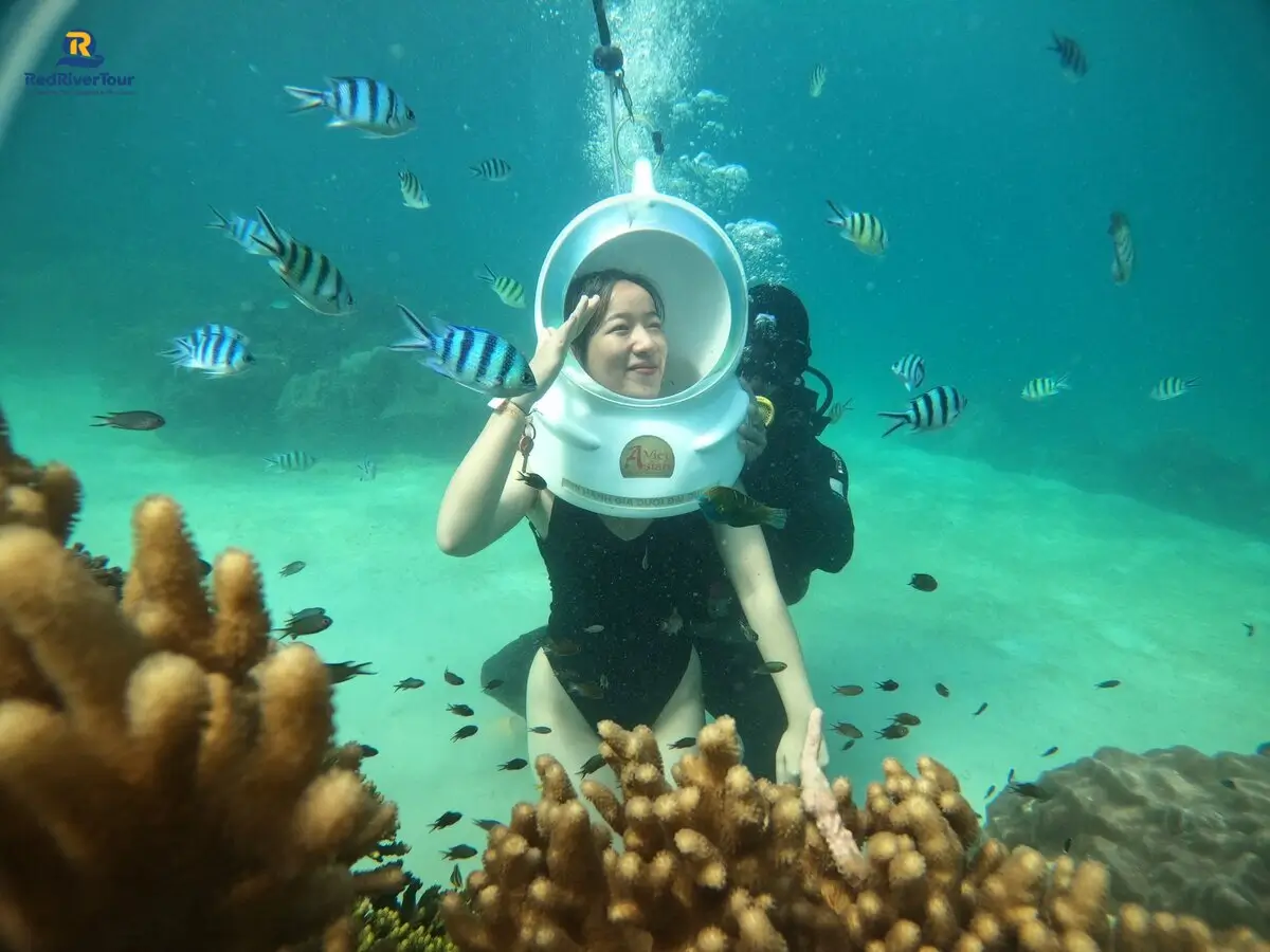 Trải nghiệm đi bộ dưới biển ngắm san hô