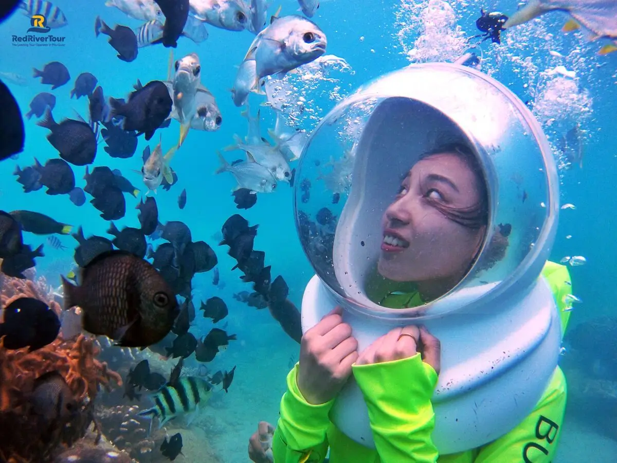 Trải nghiệm đi bộ dưới biển ngắm san hô