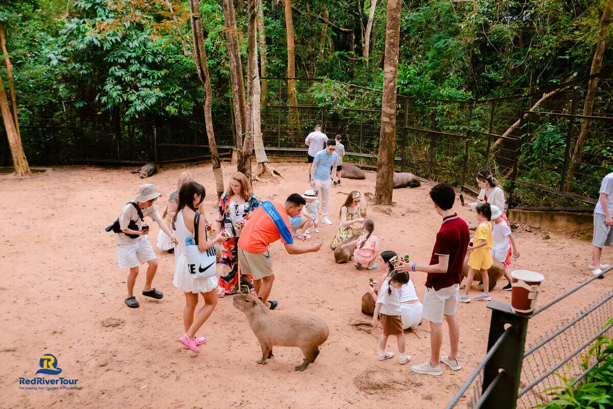 Mua vé vui chơi Phú Quốc