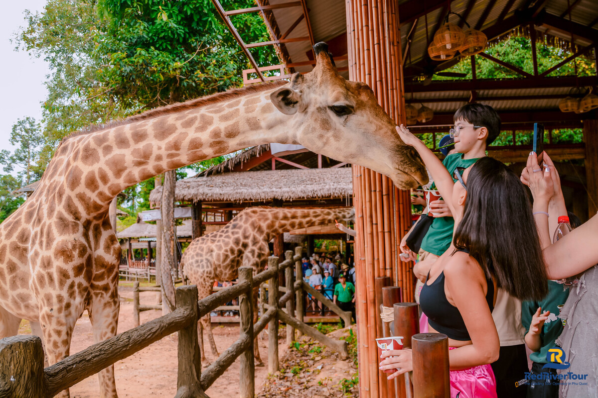 Đặt vé VinWonders và Safari Phú Quốc