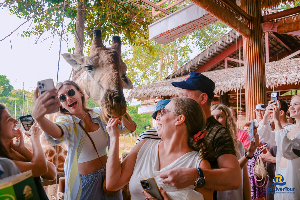 Đặt vé VinWonders và Safari Phú Quốc