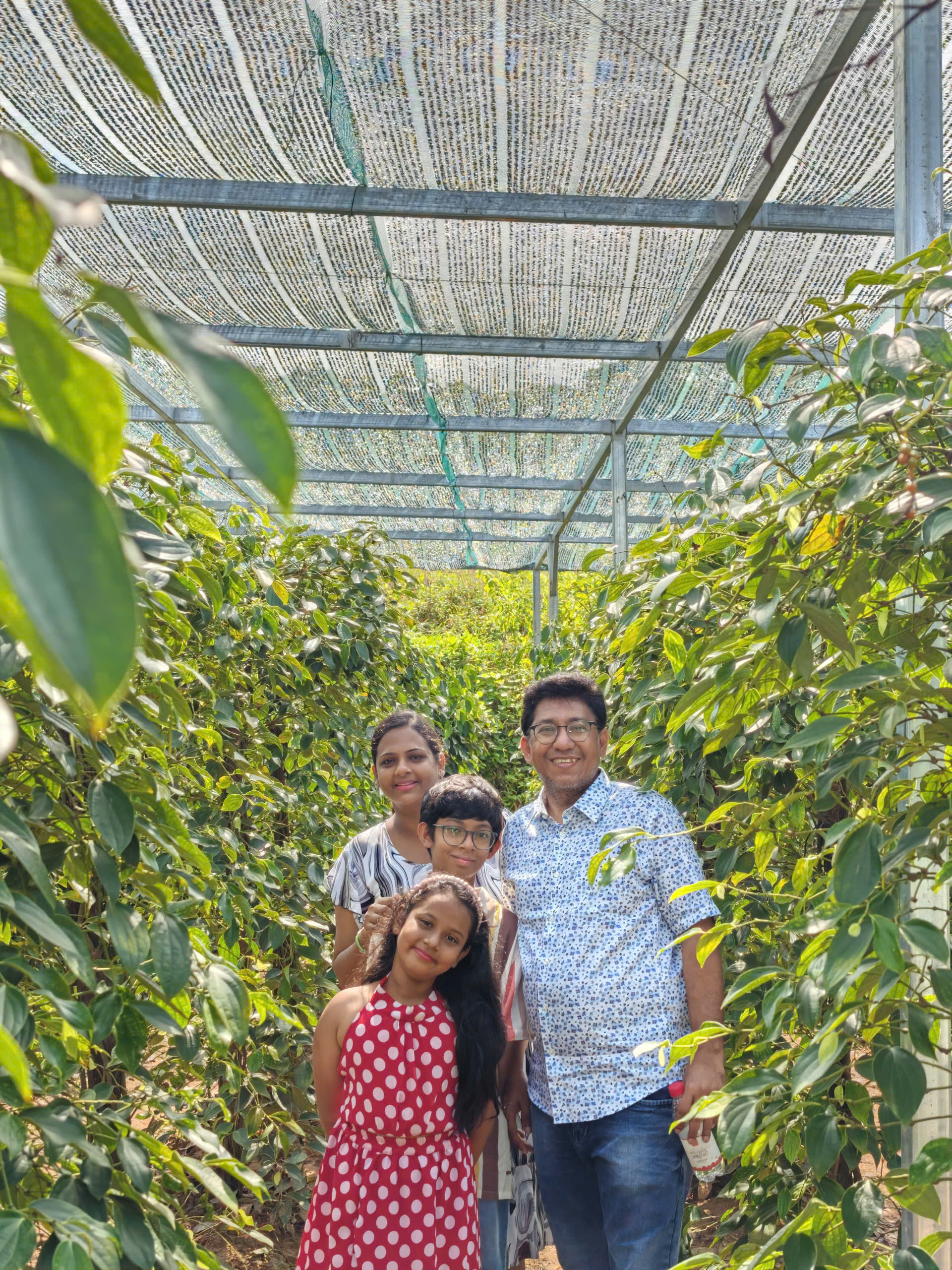Nông trại vườn tiêu Phú Quốc